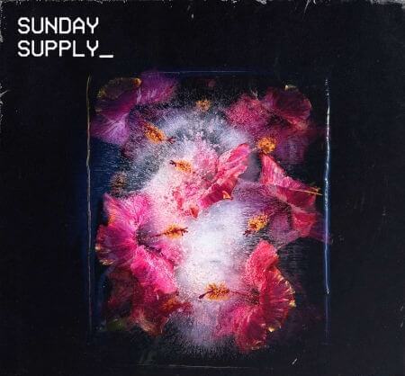 Sunday Supply Frozen Bloom WAV